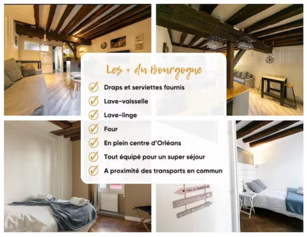 Apartmán Le Bourgogne-Hypercentre Orléans Exteriér fotografie